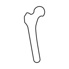 Human Femur Bone Outline