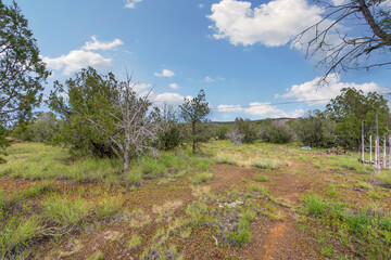 scenic wilderness with potential, remote natural parcel ideal for outdoor or residential use