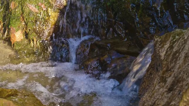 A close up shot of the Shirlak waterfall cascading over moss covered rocks in the Altai Mountains of Russia. The footage captures the clear, fresh water flowing in a natural setting, surrounded by lus