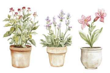 Fototapeta premium A serene watercolor illustration featuring three potted flowering plants. each in distinct pots. blooms and lush greenery. perfect for nature-themed decor or gardening resources