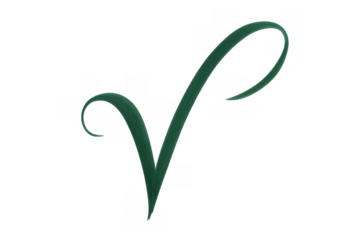 Green flowing check mark representing approval, validation, success, and completion on a transparent background