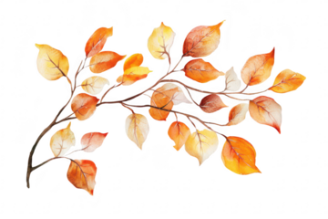 A beautifully arranged watercolor illustration of autumn leaves in shades of orange. yellow. and brown. the seasonal transition. perfect for nature-themed projects or decor