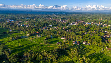 Majestic aerial view of the Mount Agung volcano looming over lush green rice fields and a rural village in Bali on a sunny day