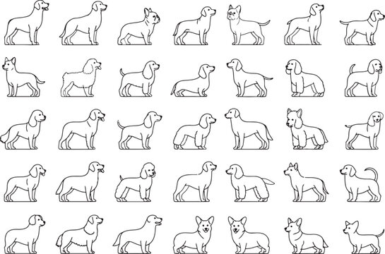 Various dog breed outlines in a repeating pattern ideal background