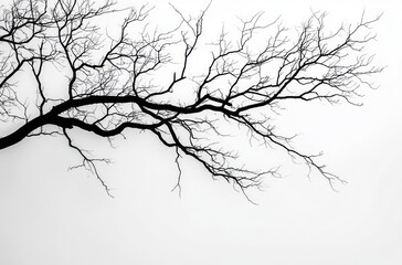 Bare tree branches silhouetted against a pale sky, minimalist winter scene evoking solitude and calm