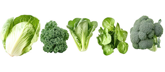 A display of fresh green vegetables including cabbage. kale. romaine lettuce. spinach. and broccoli arranged in a line against a clean white background. ideal for healthy eating concepts