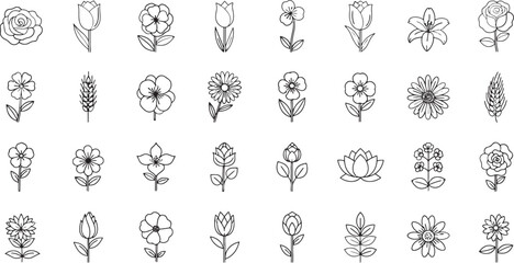 Botanical line art seamless pattern with various flowers and plants