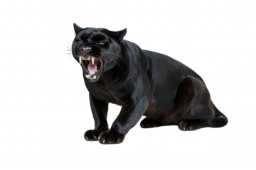 A fierce black panther growling with bared teeth. its powerful physique and sharp claws. set against a clean white background. ideal for wildlife and animal photography