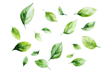 A collection of watercolor leaves in various shades of green. scattered artistically against a white background. ideal for nature-themed designs or eco-friendly projects