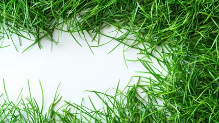 Photorealistic Top-Down Macro of Fresh Green Grass Texture for Wallpaper Background
