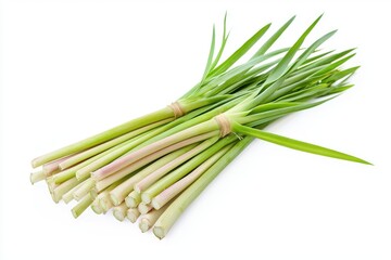 Fresh Lemongrass on White Background