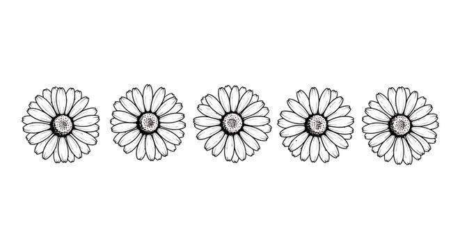 A simple black and white line drawing of five daisy flowers arranged in a horizontal row.