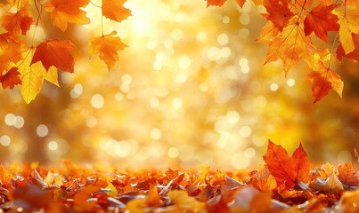 golden autumn scene with orange and yellow maple leaves hanging above and scattered on the ground, warm glowing bokeh sunlight creating a serene cozy atmosphere