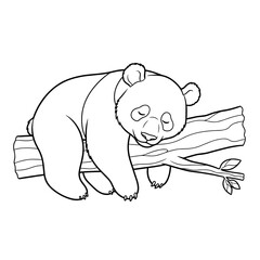 Outline drawing of a sleeping giant panda resting comfortably on a tree branch, suitable for coloring.