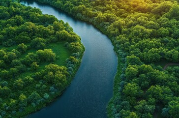 Aerial view of a tranquil meandering river winding through a lush green forest with sunlit treetops and calm reflective water evoking peace and serenity