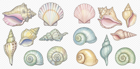 A collection of various hand-drawn seashells and conch shells in soft pastel colors, perfect for marine-themed designs.