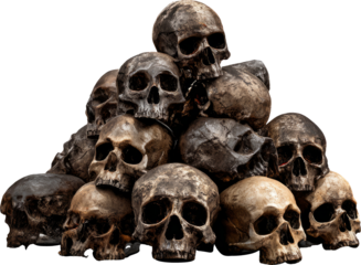 Ominous Stack of Weathered Skulls Symbolizing Mortality and the Passage of Time