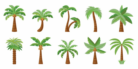Collection of diverse cartoon palm trees with green leaves and brown trunks on a white background