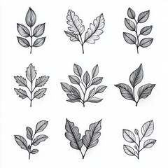 nine hand-drawn monochrome leaf sketches in a three-by-three grid, detailed botanical line illustrations conveying calm natural simplicity