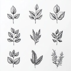 Nine delicate monochrome hand-drawn leaf sprigs arranged in a three-by-three grid, detailed ink sketches conveying calm minimalist botanical elegance