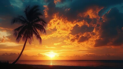 Silhouetted palm tree on a quiet beach at a fiery orange sunset with dramatic clouds over a calm ocean, evoking peaceful warmth