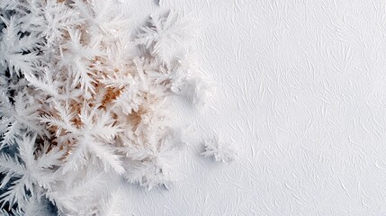Intricate frost crystals with delicate branches form delicate patterns on a textured white surface, suggesting a cold winter environment.