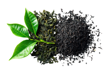 Vibrant green leaves contrast with dark dried tea leaves