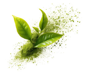 Fresh green tea leaves and powder on a black background