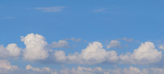 Wide, panoramic photograph of a bright, vibrant blue sky contrasting sharply with a dense, horizontal line of large, fluffy, white cumulus clouds.