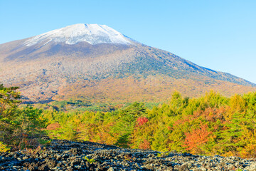 Fototapeta premium 秋の焼走り熔岩流から見た積雪と紅葉の岩手山 岩手県八幡平市 Snow and autumn leaves on Mt. Iwate seen from the Yakehashiri lava flow in autumn. Iwate Pref, Hachimantai City.