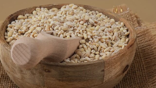 Raw pearl barley porridge Gluten free cereals. Health gut benefits. Concept of alternative whole spelt grain ingredient. Vegetarian diet recipes. Plant-based lifestyle. Copy space Protein rich eating 