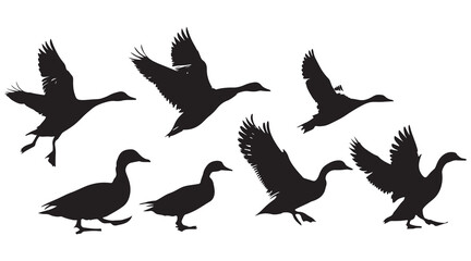 Obraz premium Goose silhouettes flying and standing Vector