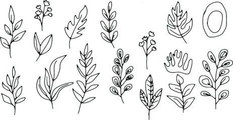 Hand-drawn botanical leaves and floral elements vector design