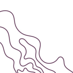 Topographic Abstract Corner