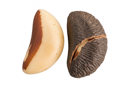 Two brazil nuts, one shelled and one in its shell, isolated on transparent background, showing the texture and color of the nut