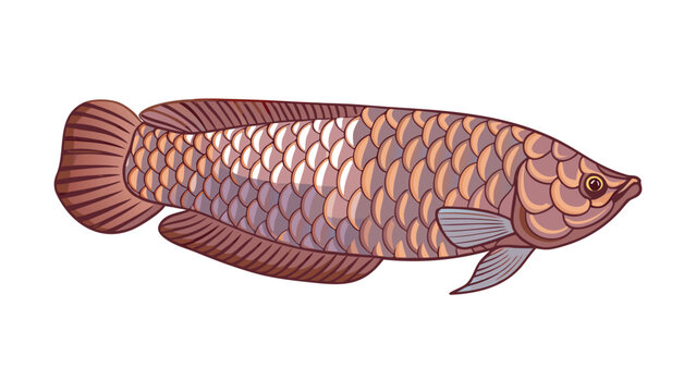  vector illustration of fish swimming in nature with a tail on a white background