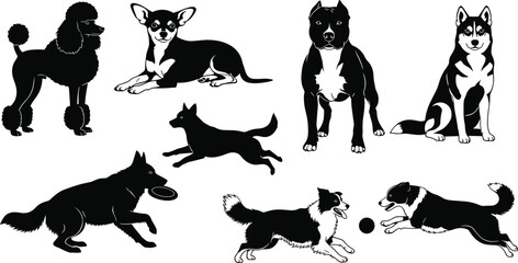 Dog breeds silhouette collection, vector illustration set of pets, poodle, husky, pitbull, and collie, in various playing poses, isolated on white.