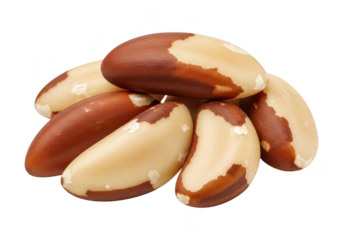 Pile of delicious brazil nuts isolated on transparent background, a healthy and nutritious snack, perfect for a quick energy boost
