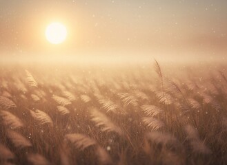 An ethereal landscape of a meadow filled with tall, feathery wild grasses.