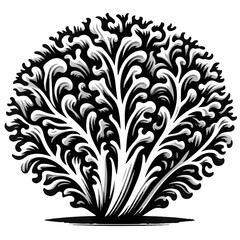 Stylized monochrome illustration of a bushy tree with intricate leaf details and a rounded crown shape