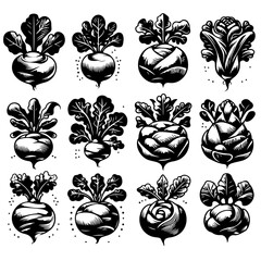 Illustration of various black and white root vegetables with leaves in a symmetrical arrangement