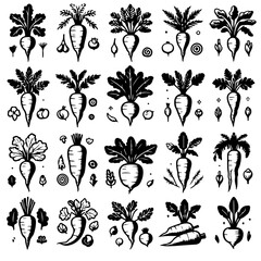 Collection of black and white drawings of turnips with different leaf styles and small decorative elements