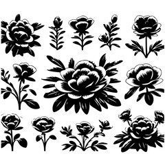 Black and white floral arrangement featuring various types of flowers and foliage in a pattern design