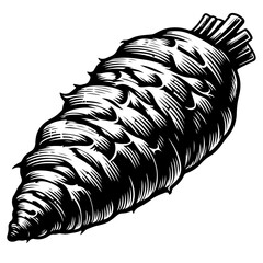 Detailed monochrome drawing of a root vegetable with textured surface and stem like structure