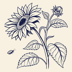 Elegant sunflower illustration featuring a blooming flower, a bud, leaves, and a tiny beetle, all rendered in a charming vintage style on a light background