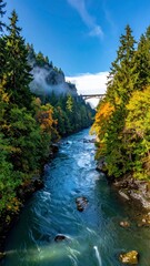 River Through Forest with Bridge in Distance.