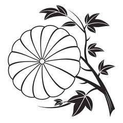 Elegant chrysanthemum flower illustration with intricate details, showcasing the beauty of nature and the artistry of floral design isolated on