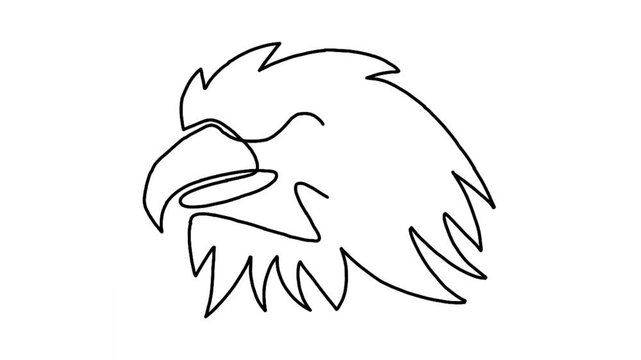 Continue line animation of eagle