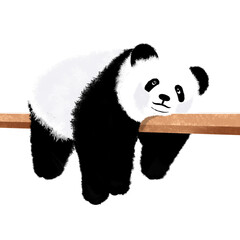 panda bear with bamboo © devina