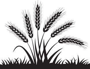 Black wheat stalks silhouette on a white field